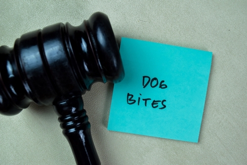 Photo of dog bite