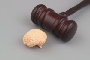 Human Brain Model and Gavel